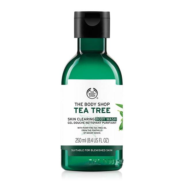 thebodyshop-se-58402991dd188b57a71b778f1759d435 thebodyshop-se-58402991dd188b57a71b778f1759d435